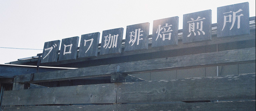 f1010028.jpg